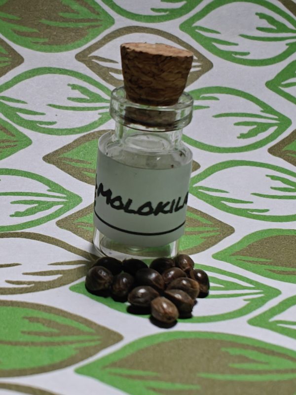 MoloKilas