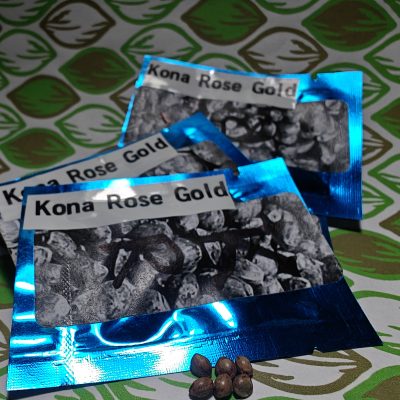 Kona Rose Gold