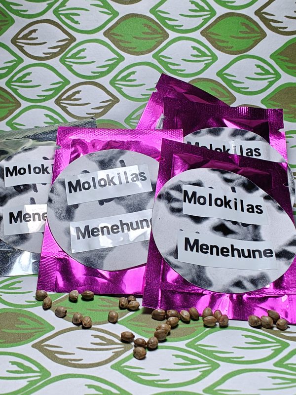 molokilas menehune seed pack