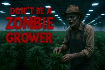 18/6 vs 12/1: Why You’re Wasting Your Money and Your Plant’s Potential
