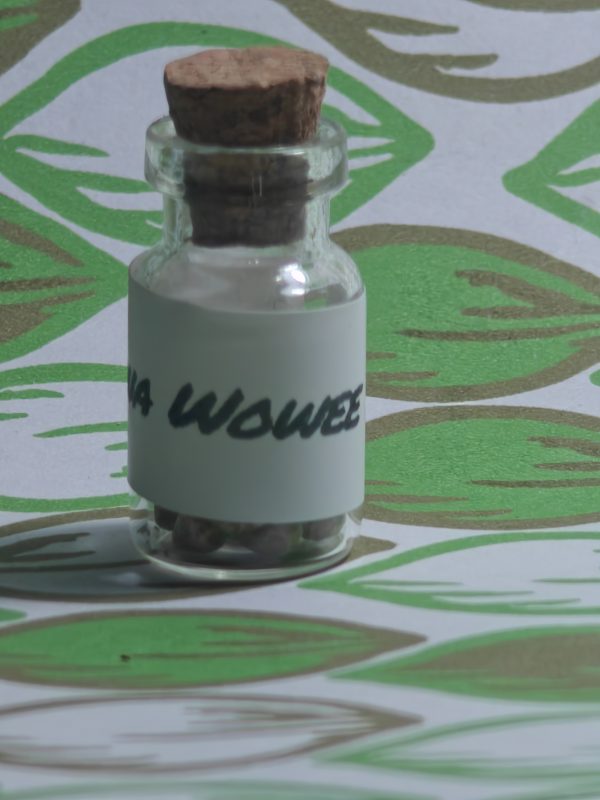 Puna Wowee #3