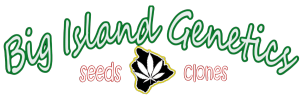 Big Island Genetics