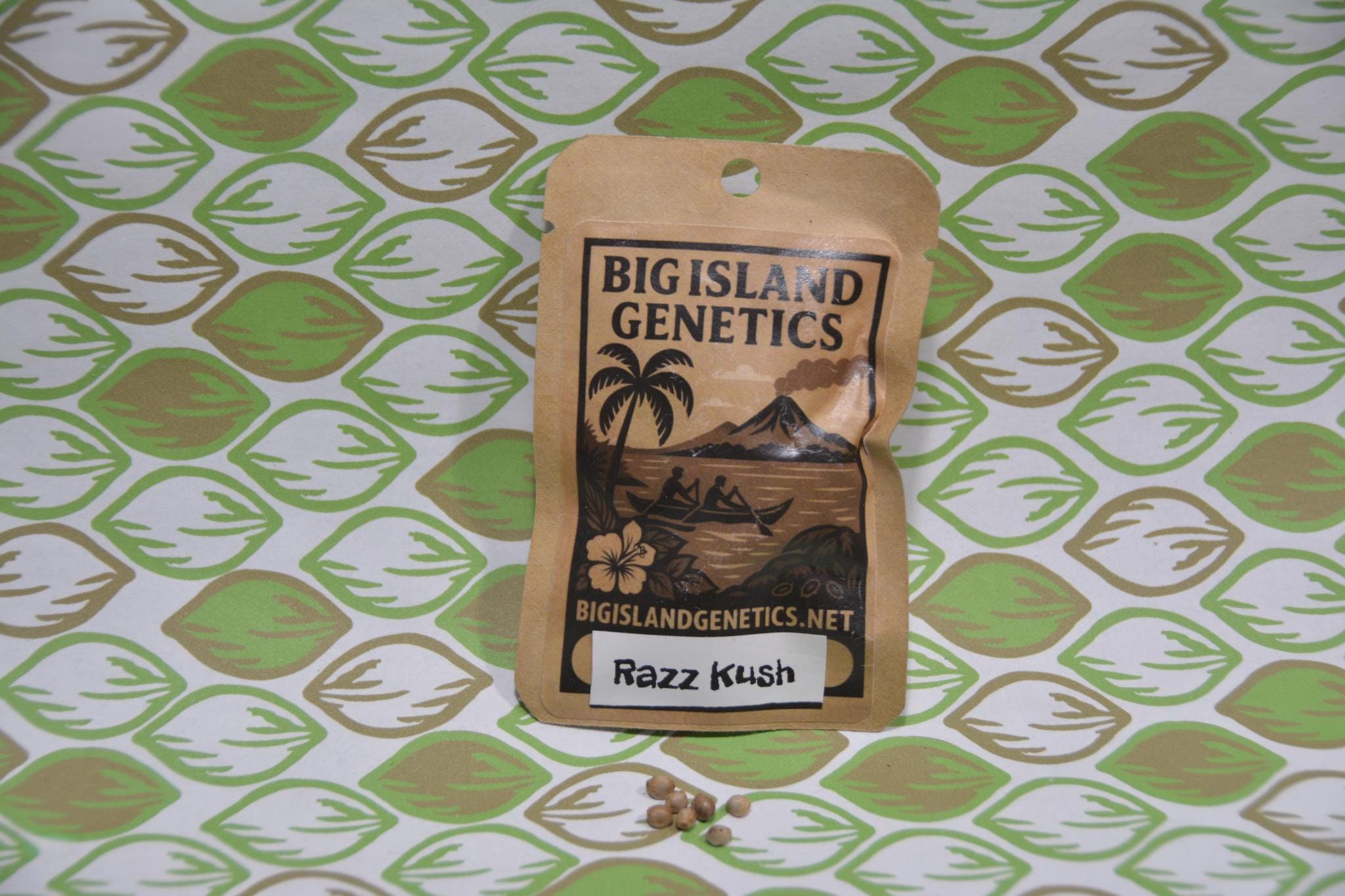 Razz Kush – Hawaiian Razz x Purple Kush (Jaeger Lineage) - Image 3